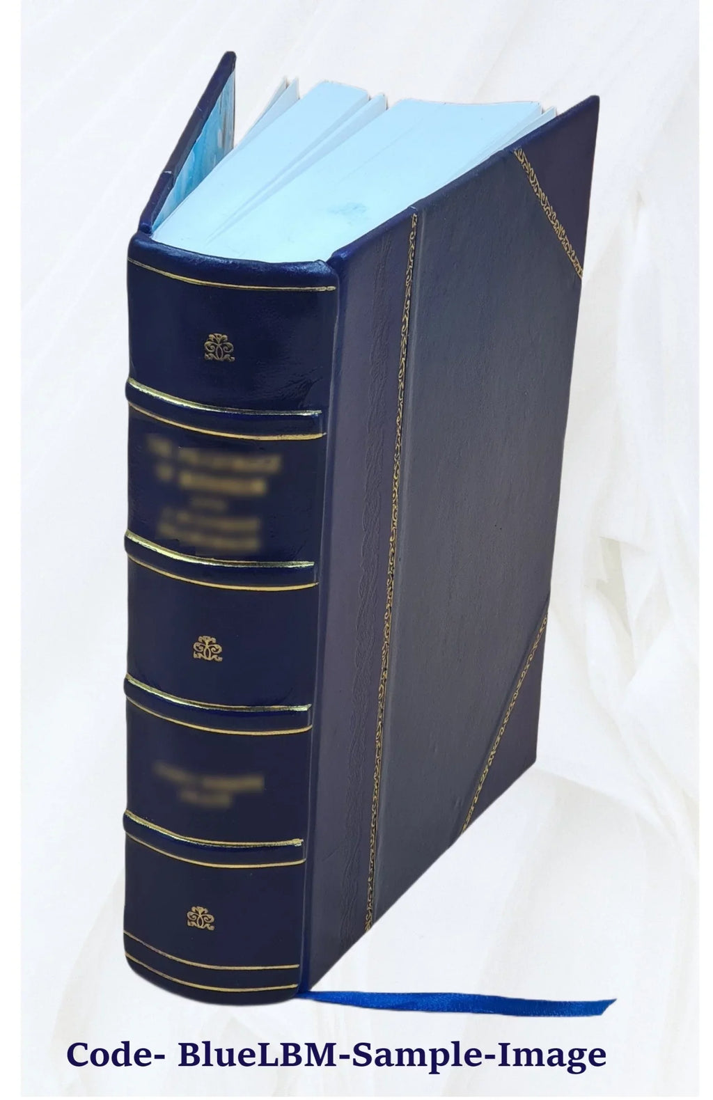 Le dioceÌse de GeneÌve (partie de Savoie) pendant la ReÌvolution francÌ§aise Volume 1 1894 [Leather Bound]