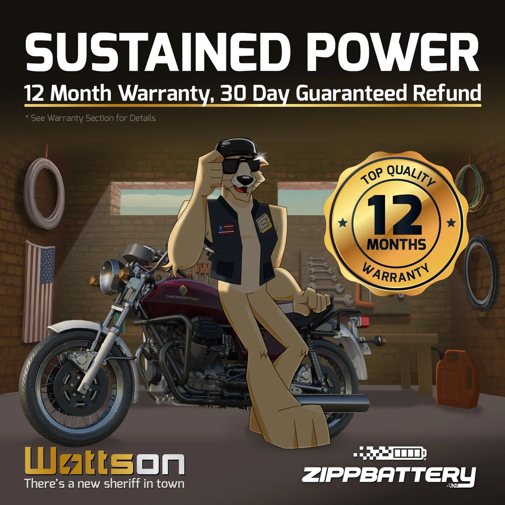 Zipp Battery Ytx9-Bs Atv Battery for Honda 250Cc Trx250Ex Te Tm 2001 - Exclusive Design