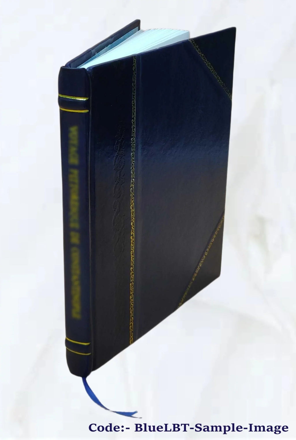 Downed dead woody fuel and biomass in the northern Rocky Mountains Volume no.117 1981 [Leather Bound] - Exclusive Design
