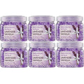 SMELLS BEGONE 12oz 6-Pack Odor Absorber Gel Beads Air Freshener Odor Control Lavender Vanilla Scent