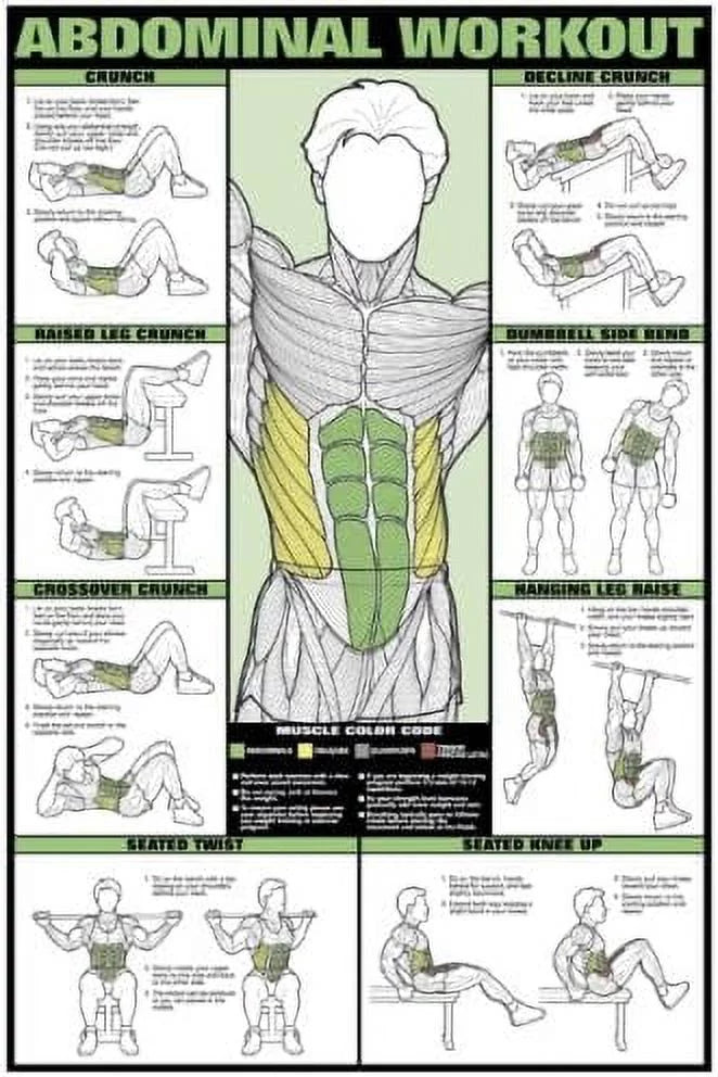 Corporation NFC08-L Corporation NFC08-L Abdominal Workout Laminated Fitness - Exclusive Design