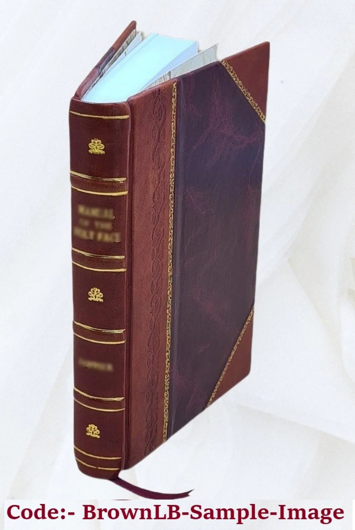 Su e giuÌ per Firenze. 1926 [Leather Bound] - Exclusive Design