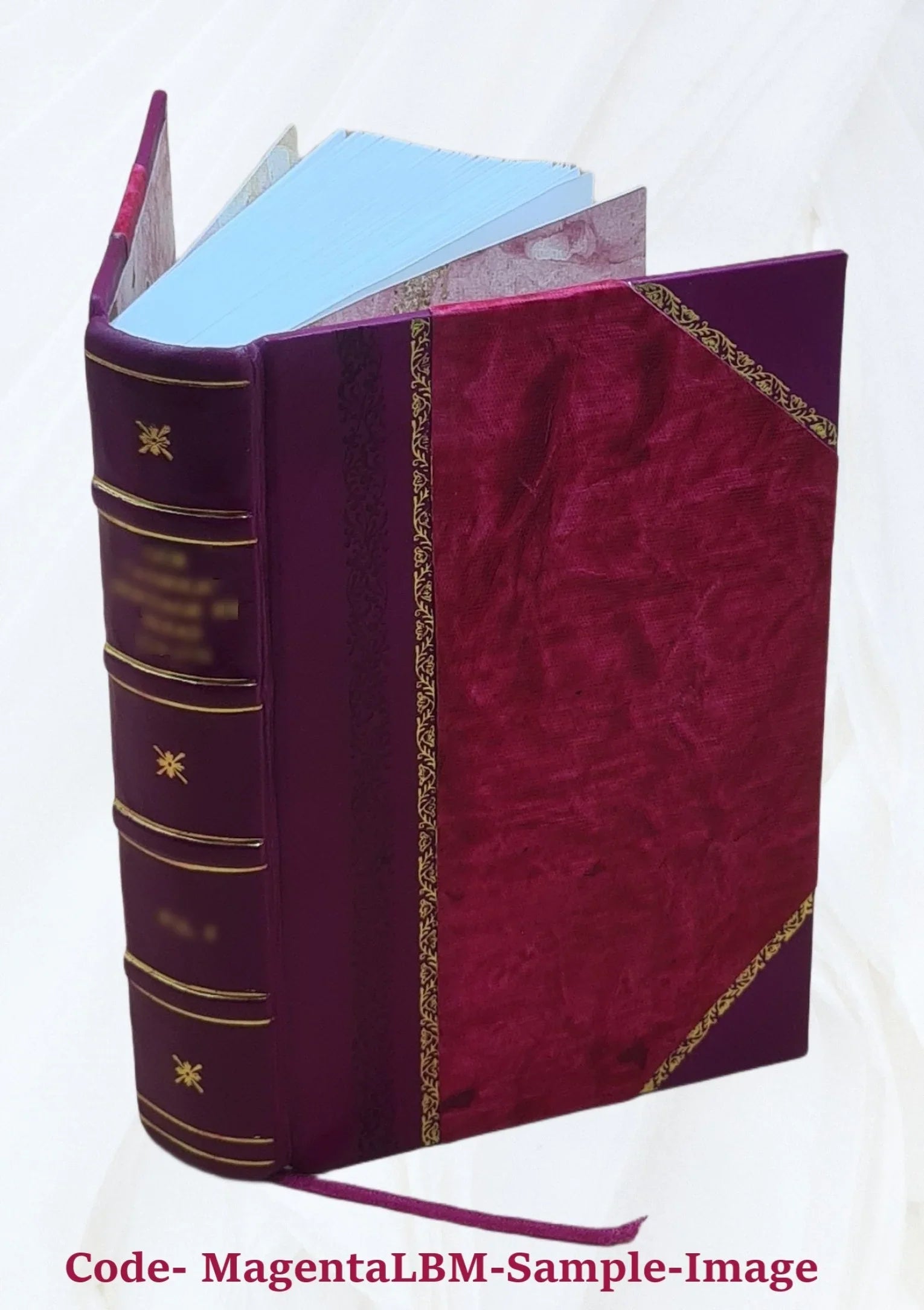 PetoÌfi SaÌndor. 1926 [Leather Bound]