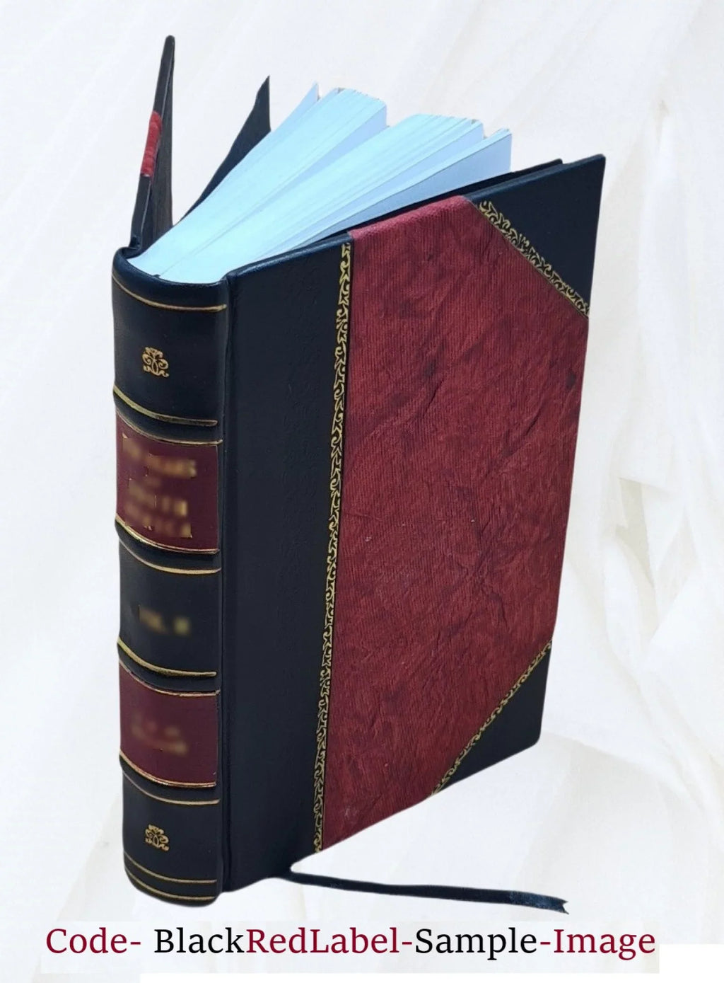Le nouveau Robinson : pour servir Ã l'amusement et Ã l'instruction des enfans de l'un et de l'autre sexe / ouvrage traduit de l'allemand de M. Campe. v.2. Volume v.2 1833 [Leather - Exclusive Design