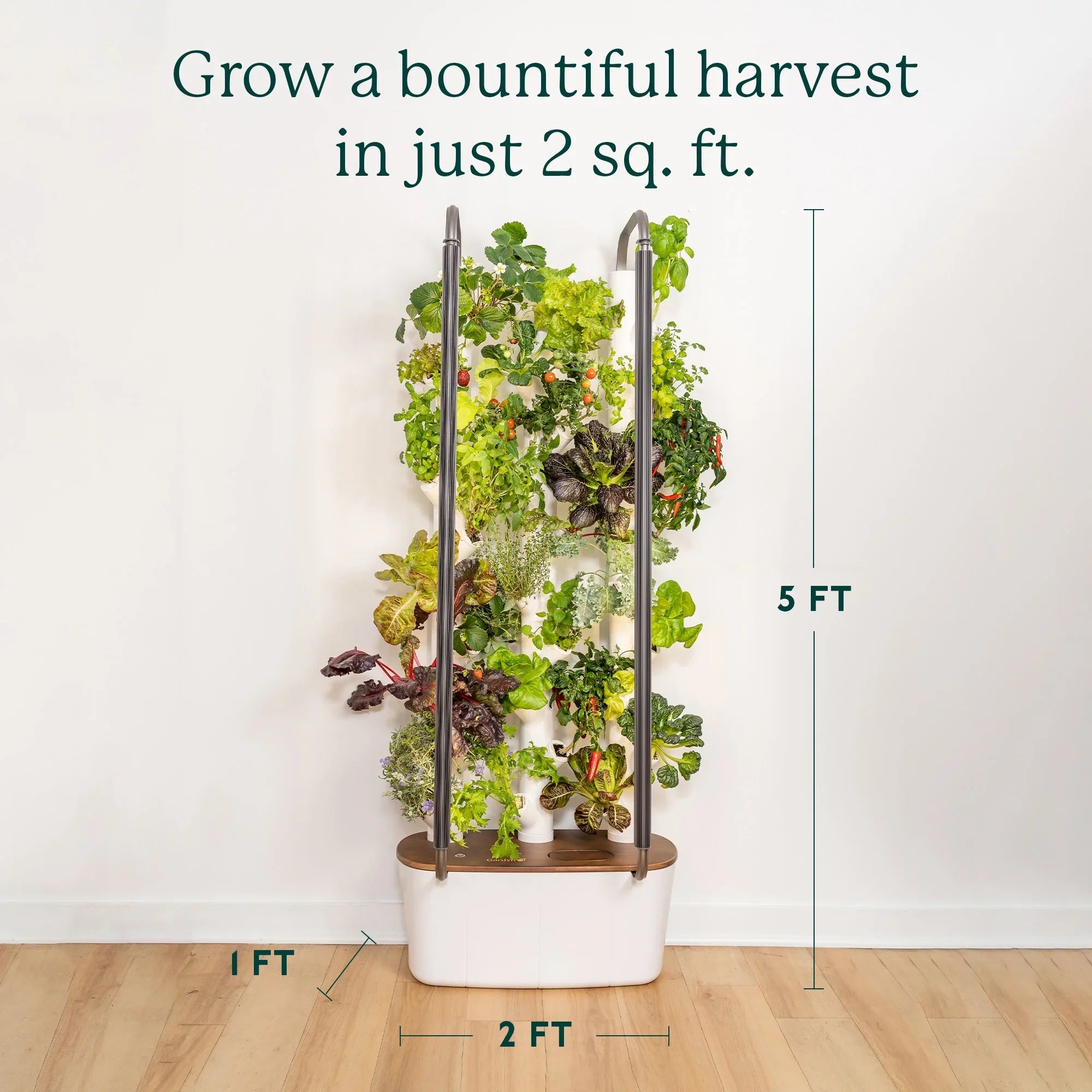 System Equipment