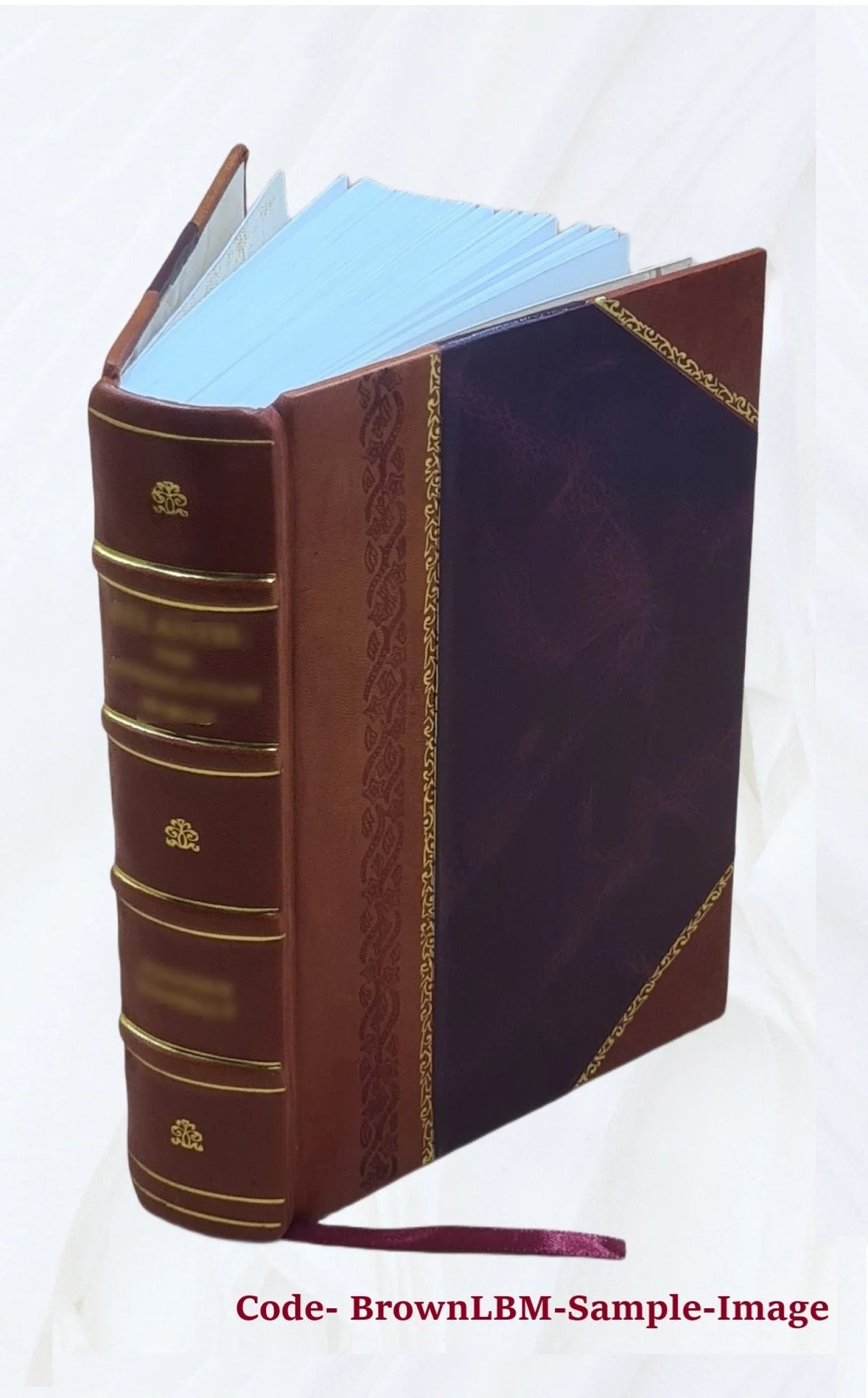 Stylish Gun and camera in southern Africa; a year of wanderings in Bechuanaland, the Kalahari Desert, and the Lake River country, Ngamiland, 1893 [Leather Bound]