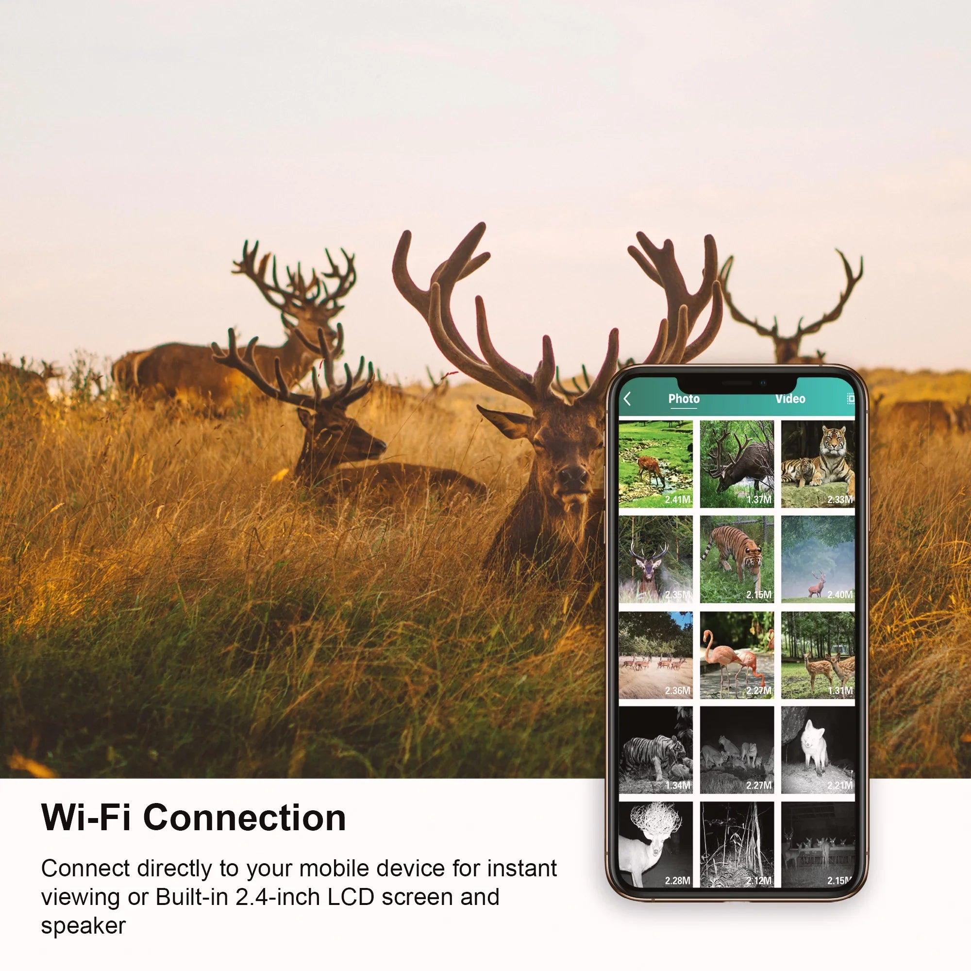 Stylish Rexing H2 20MP 4K Wi-Fi Trail Surveillance Camera for Outdoor, Hunting Cam W/ CMOS Motion Sensor