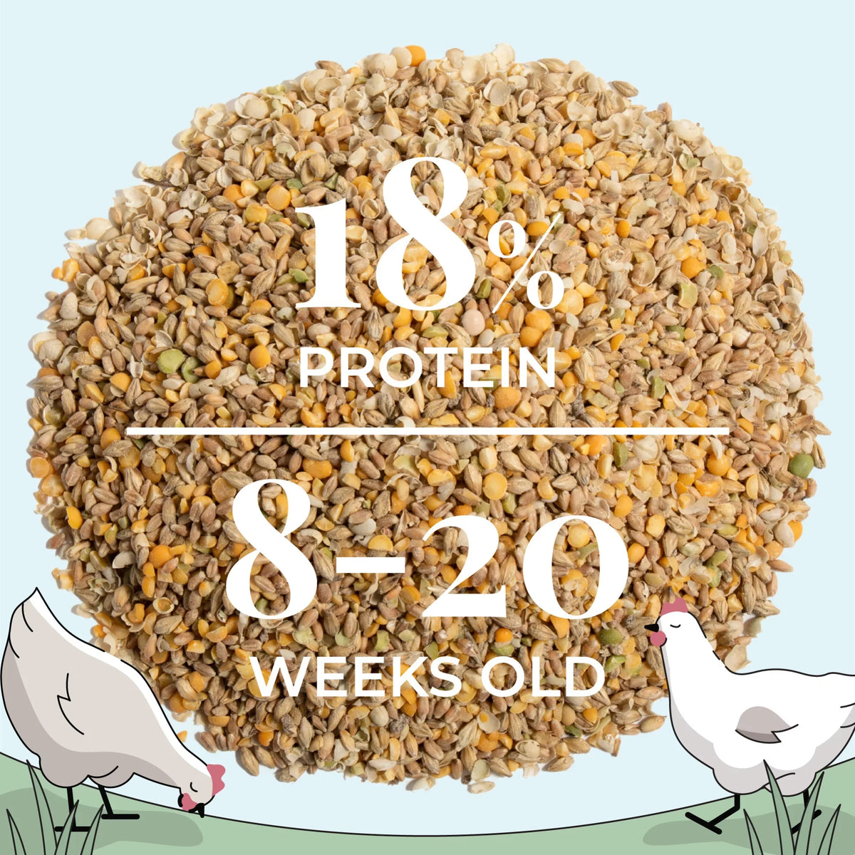 Stylish Mile Four | Grower Organic Chicken Feed | 100% US Grown Grains, Certified Organic, Certified Non-GMO, Corn-Free, Soy-Free, Non-Medicated Chicken Food | 18% Protein | Whole Grain | 46 lbs.