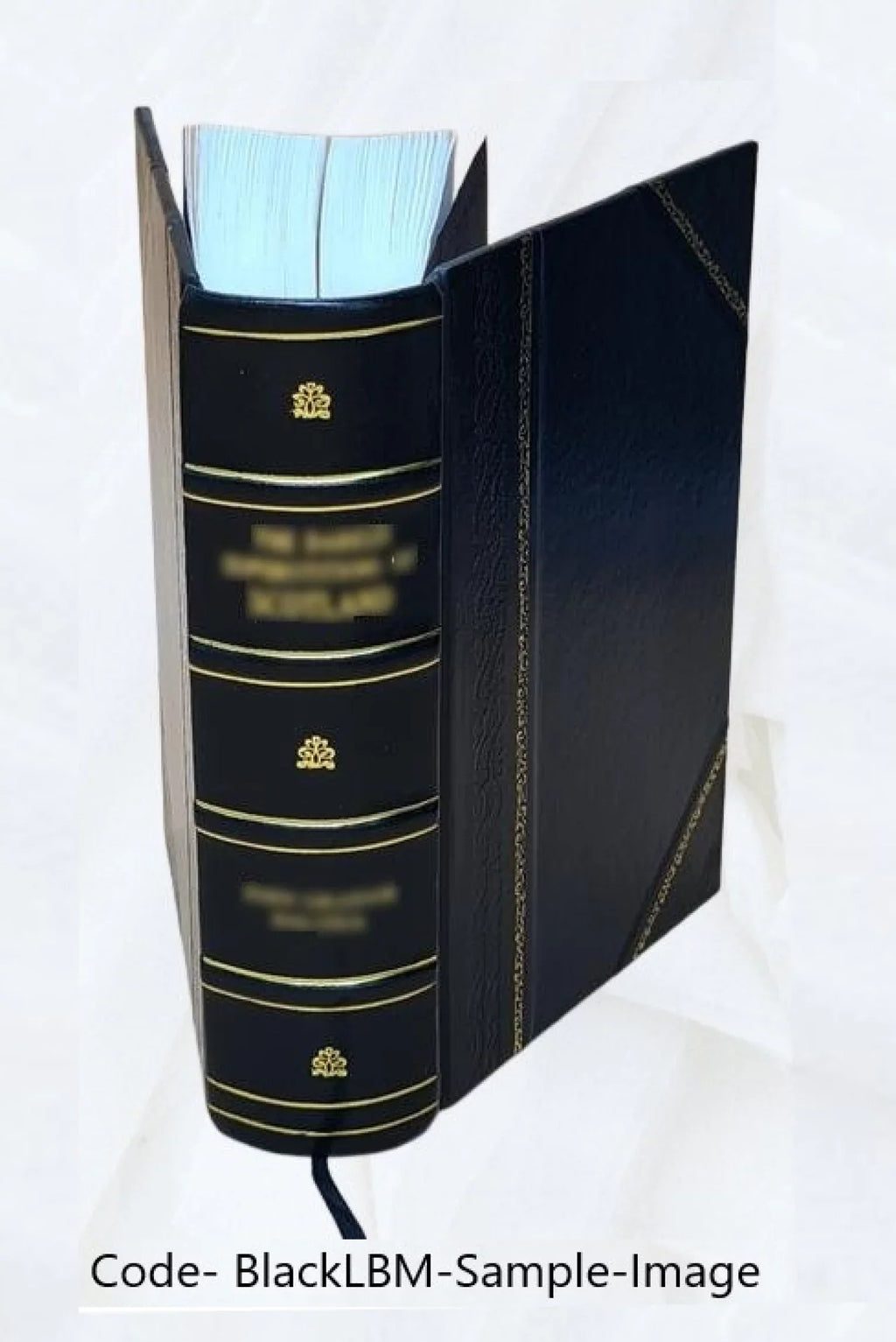 Le dioceÌse de GeneÌve (partie de Savoie) pendant la ReÌvolution francÌ§aise Volume 1 1894 [Leather Bound]